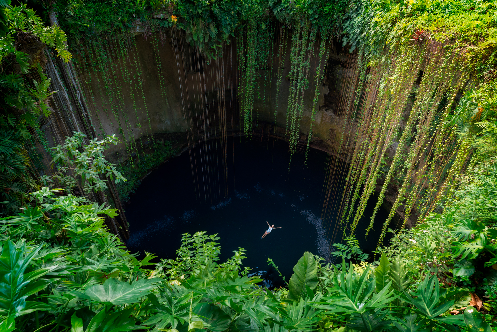 cenote-dml22-wan-ifra