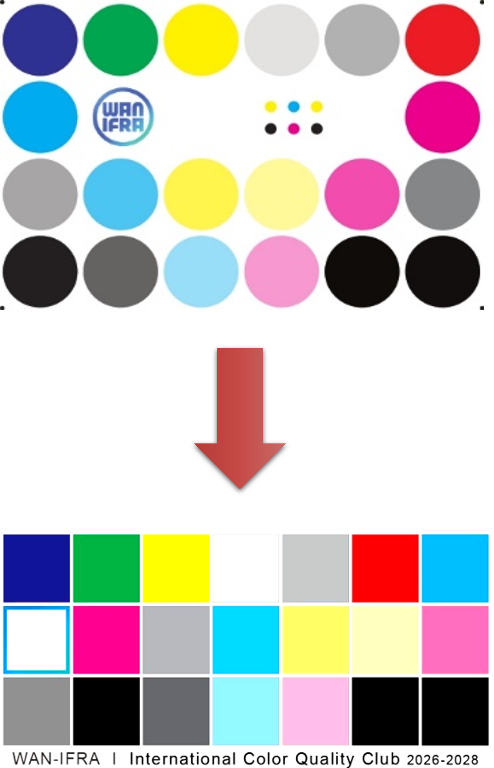 The Cuboid Architecture and ICQC Regulatory Shifts High-Performance Competitive Cubing through Geometric and Procedural Standardisation